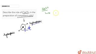 Describe the role of CaCl2 in the preparation of competent cells [upl. by Otsenre]