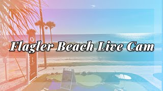 Flagler Beach Live Cam [upl. by Reyem]