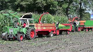 Maïs häckseln mit alte Fendt und Deutz Traktoren  Historic Feldtag Nordhorn 2023 [upl. by Ahsyas248]