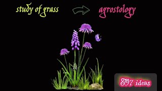 study ologies  general science  study of grass external structure of plantsseedflowers [upl. by Jacintha]