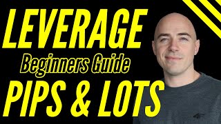 Forex Leverage for Beginners Explained lot sizes and pips [upl. by Nohcim]