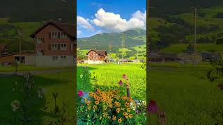 Swiss Natural Beauty reels travel subscribe love trending viral shorts short tiktok swiss [upl. by Juliette]