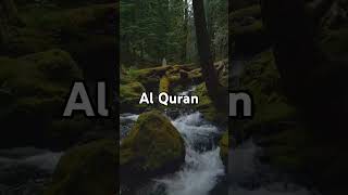 surah baqarah alquran [upl. by Nosyaj]