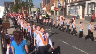 Portadown Junior Orange District No1 [upl. by Ramunni]