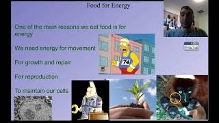 Flippin Science Autotrophs Heterotrophs and Photosynthesis [upl. by Fortier]