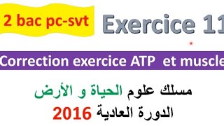 2 bac svt pc CORRECTION exercice 11 svt  ATP et muscle normale PC 2022 [upl. by Billat]