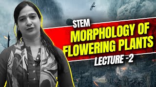 2  Stem l Morphology of Flowering Plants l NEET l Class 11 [upl. by Auqenat]