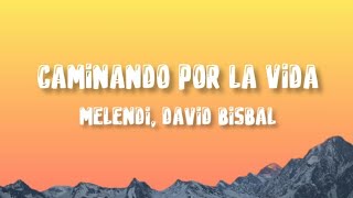 Melendi David Bisbal ❤️ Caminando por la vida  letra [upl. by Aala]