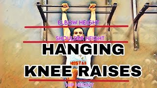 Hanging KNEE RAISES Progressions Level 15 [upl. by Floris]