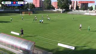 IV LIGA Bramki z meczu Promień Żary  Warta II Gorzów 20 10092023 [upl. by Hilda]