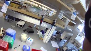 Setting up a PCR reaction [upl. by Loss]