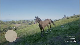 FR ASTUCE COMMENT OBTENIR ET AMÉLIORER UN CHEVAL RED DEAD REDEMPTION 2 [upl. by Ahseiyk88]