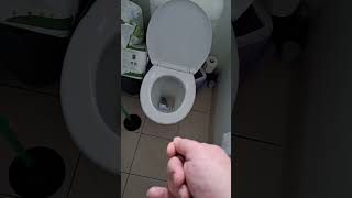 Unblocking a toilet Multiple methods [upl. by Glaser619]