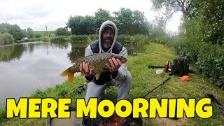 Sunday morning carp fishing is the BEST [upl. by Necila]