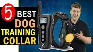 Best Dog Training Collar 20232024 🏆 Top 5 Best Dog Training Collars Reviews [upl. by Coit929]