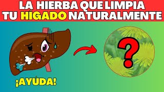 6 Hierbas Más Poderosas para Limpiar tu Hígado Rápida y Naturalmente [upl. by Isaac108]