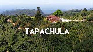 Tapachula Tuxtla Chico y la Ruta del Café en Chiapas  La puerta al Soconusco [upl. by Outhe]