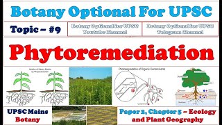 Phytoremediation Types Advantages Limitations Botany Lectures By Dr Pravin Ekade [upl. by Eedoj784]