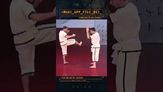 MUAI  Tech Application File 051 Berlin 1999 Pahuyuth Muai Martialarts [upl. by Prentiss]