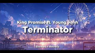 King Promise ft Young Jonn  Terminator  Slowed  Reverb [upl. by Suoirrad]