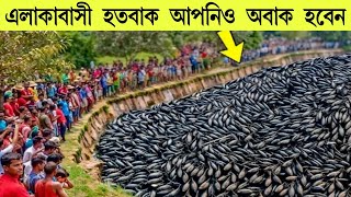 প্রকৃতির এমন ঘটনা ১হাজার বছরে একবার দেখা যায় Nature phenomenon [upl. by Anitsua]