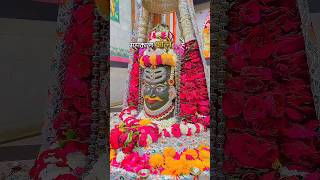 Mahadev status video 🔱 bholenath status video ✨shorts [upl. by Niledam467]