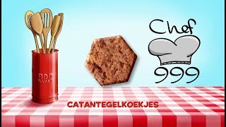 Chef999 Catantegelkoekjes  999 Games [upl. by Oicnoel]