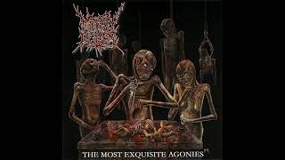 Mindly Rotten  The Most Exquisite Agonies Full Album [upl. by Afrikah890]