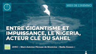 Entre gigantisme et impuissance le Nigeria acteur clé du Sahel [upl. by Enywtna308]