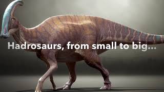 Hadrosaurs Size Comparison [upl. by Bittner]