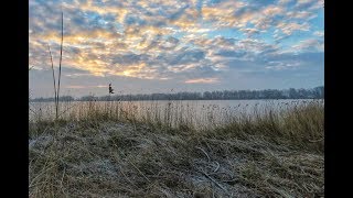 Weerbericht vrijdag Steeds kouder [upl. by Adiaj]