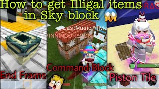 How to get Illegal items in sky block😱 End Frame Bedrock Command Block Piston Head😱Blockman GO [upl. by Garratt868]