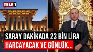 Saray’ın 2024 gideri dudak uçuklattı [upl. by Demahum]