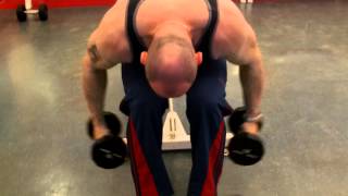 Rear Delt Raises Bent Over Laterals [upl. by Vizzone290]