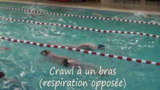 Natation pour tous  les éducatifs en crawl  1 [upl. by Kcirdnekal264]