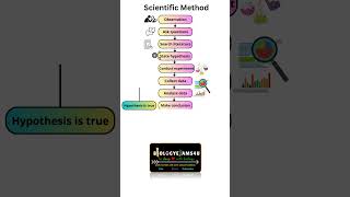 What is a Scientific Method 9 Steps in Scientific Method [upl. by Neelehtak804]