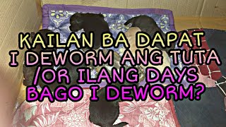 KAILAN BA DAPAT I DEWORM ANG TUTAASO ILANG DAYS BAGO I DEWORM [upl. by Clothilde949]