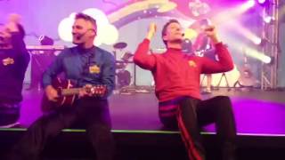 The new Wiggles live 2013 [upl. by Kila]