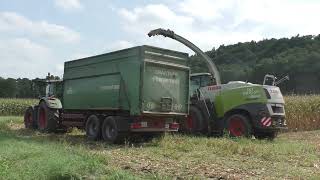 Maishäckseln 2024 in Oststeiermark mit Class Jaguar960 und Orbis 750 und 6 Stück Fendt und anderen T [upl. by Lexine]