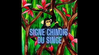 Signe chinois du Singe personnalité et caractère [upl. by Tereve]