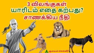 3 விலங்குகள்  யாரிடம் எதை கற்பது  சாணக்கிய நீதி  Chanakya Neeti Learning From Animals [upl. by Salsbury]