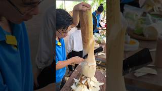 The Most Delicious Coconut Tree Cutting Skills [upl. by Ahnavas]