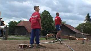 Hornussen  the sport of Swiss farmers [upl. by Adnilem]