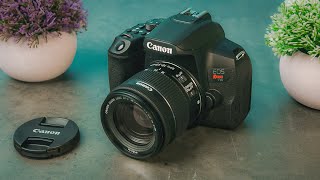 Best DSLR Cameras in 2023 [upl. by Zerelda]