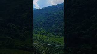 Terrace Farming in the Hilly Areas ytshorts sst geography geographyfacts gautamlakhani [upl. by Ocihc]