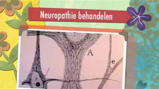 Neuropathie behandelen bij het Instituut voor Neuropathische Pijn [upl. by Erle]