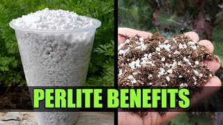 Perlite For Your Garden  Garden Quickie Episode 47 [upl. by Pauiie213]