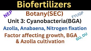 Biofertilizers Bsc BotanySEC CyanobacteriaBlue Green Algea  Azolla Anabaena Nitrogen Fixation [upl. by Teuton321]