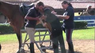 Ippoterapia con i poliziotti a cavallo [upl. by Lladnew]