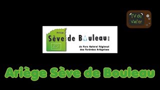 Reportage  Ariège sève de Bouleau Haras Picard du Sant [upl. by Oiludbo]